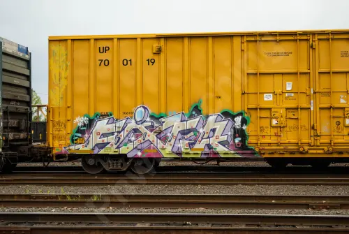 UP700119