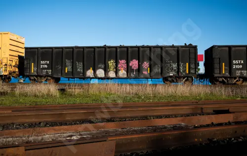 Train photo