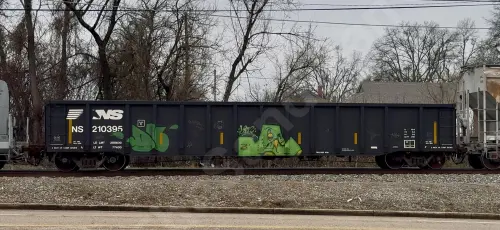 NS210395