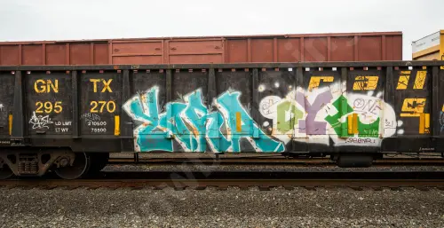 GNTX295270