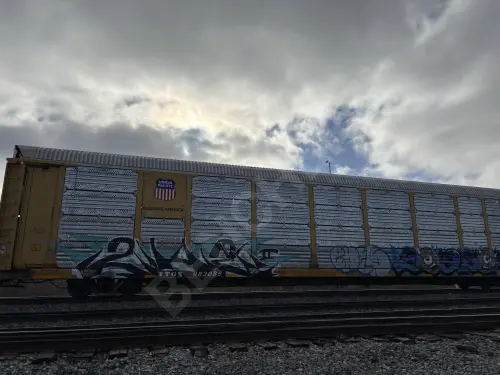 TTGX983085