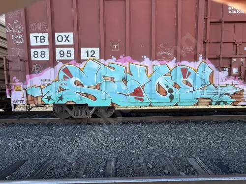TBOX889512