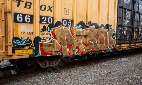 TBOX662005