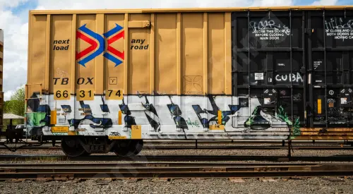 TBOX663174