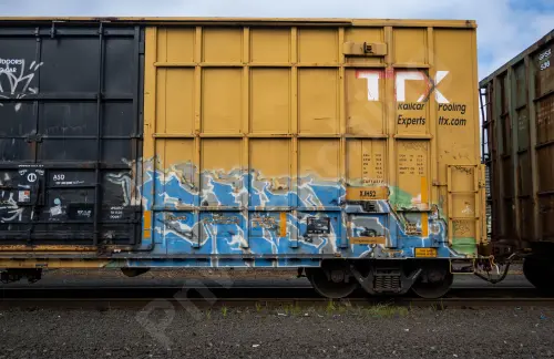 FBOX504292