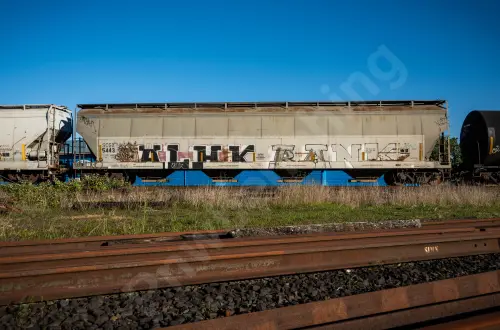 SCGX5443