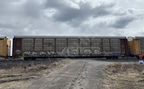 Train photo