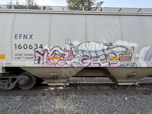 EFNX160634