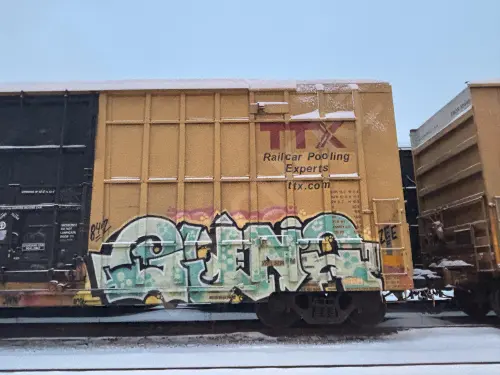 FBOX502186