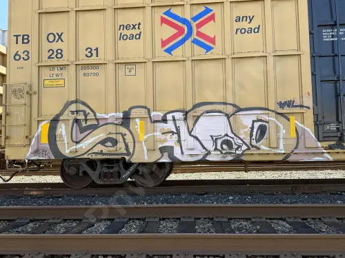 TBOX632831