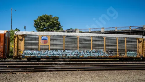 Train photo