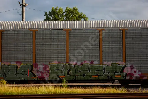 TTGX995116