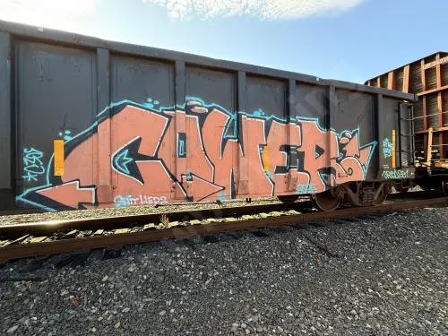 CHTT723496