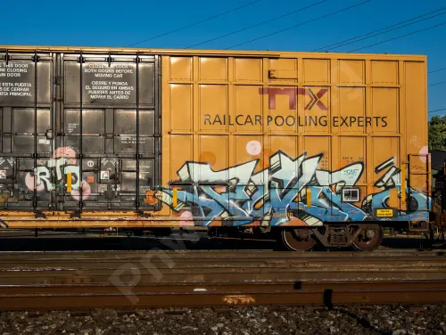 TBOX664529