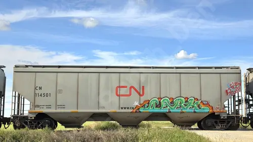 CN114501
