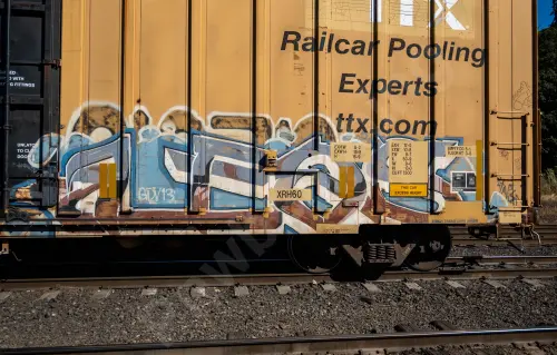 TBOX671307