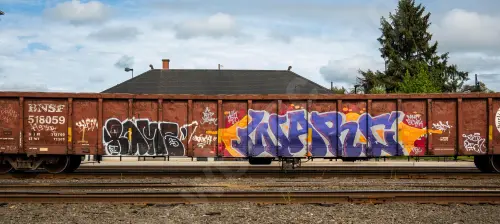 BNSF518059