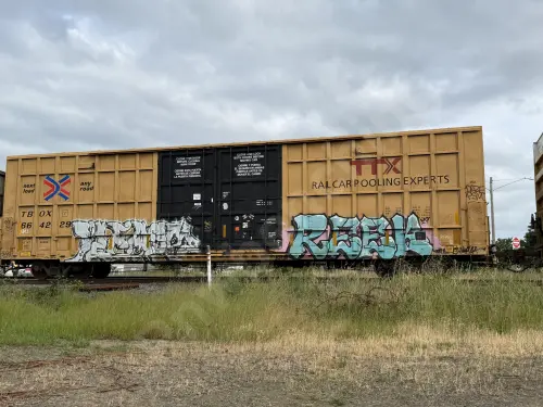 TBOX664229