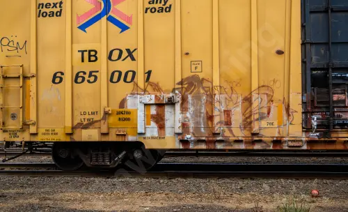 TBOX665001