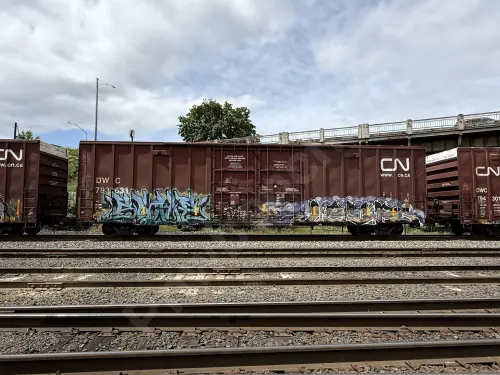 DWC793631