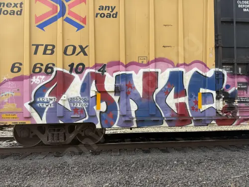 TBOX666104