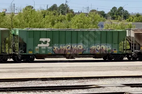 BN446657
