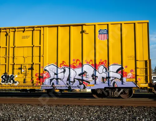 UP701244