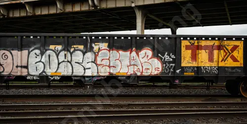 GNTX296073