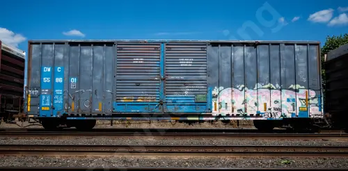 DWC558601