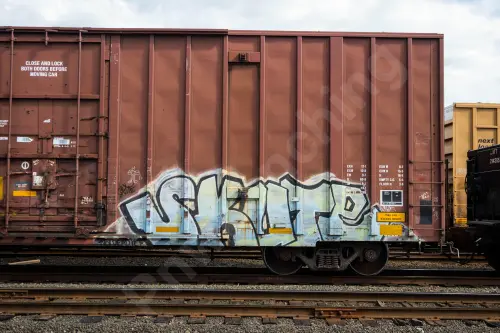 NS469202