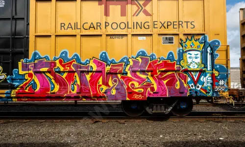 TBOX635404