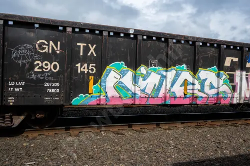 GNTX290145