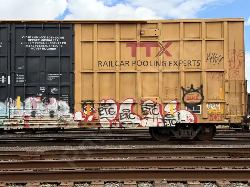 TBOX673784