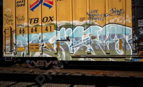 TBOX666441