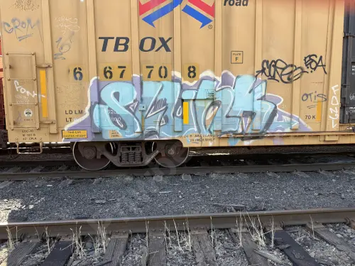 TBOX667708