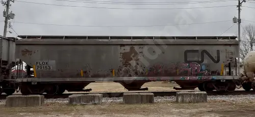 Train photo