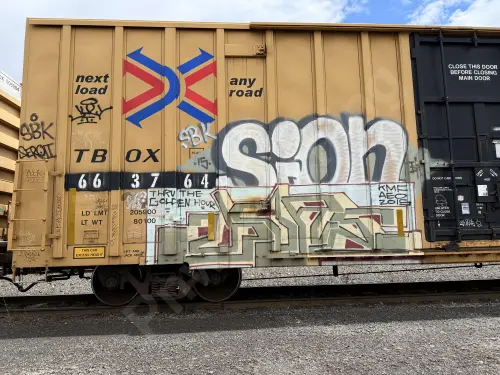 TBOX663764