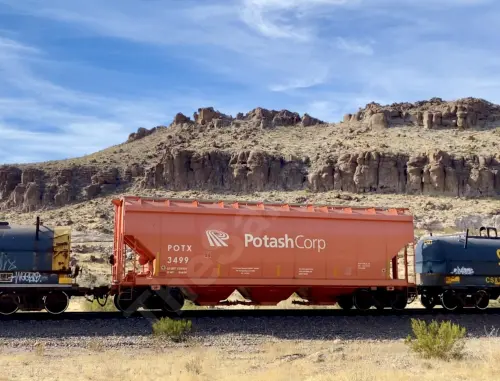 POTX3499