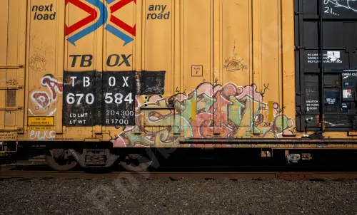 TBOX670584