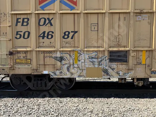 FBOX504687