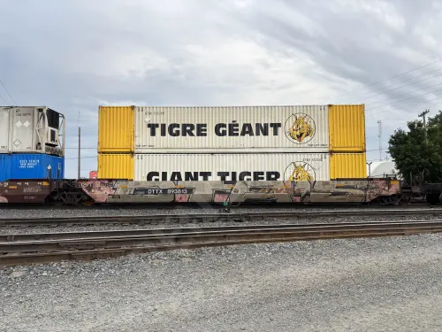 DTTX893813