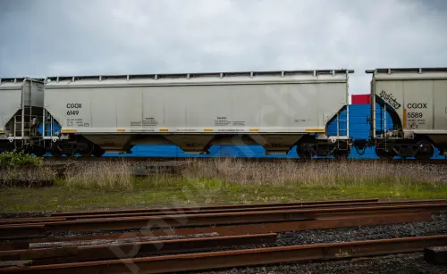 Train photo