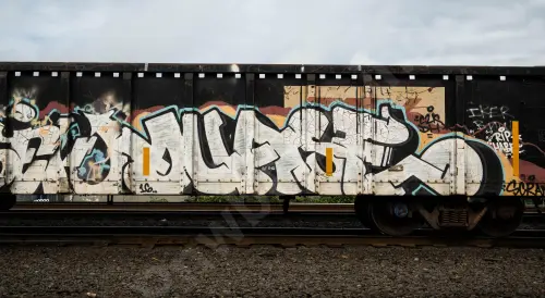 GNTX290065