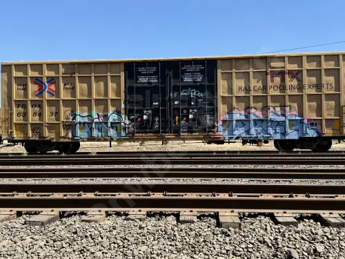 TBOX638437