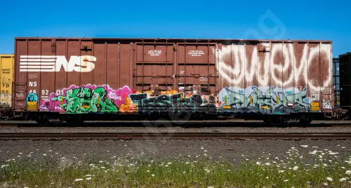NS469201
