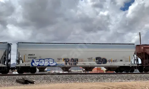 MWCX480081