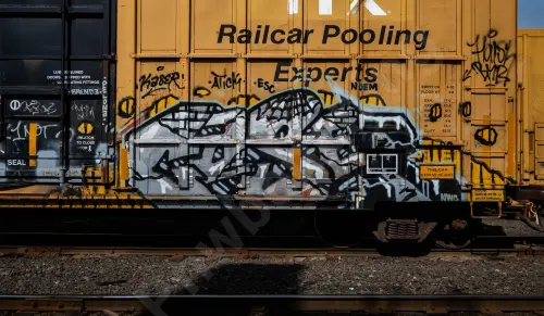 FBOX505295