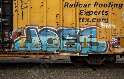 TBOX660357