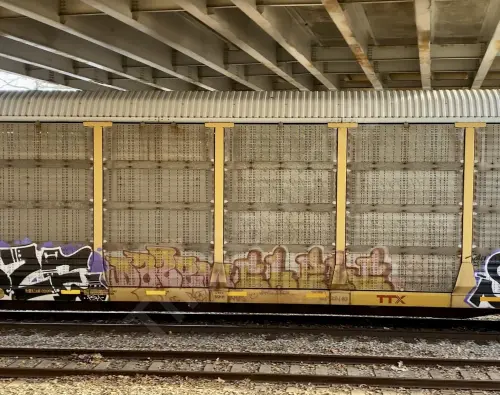 TTGX964298