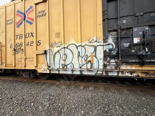 TBOX666425